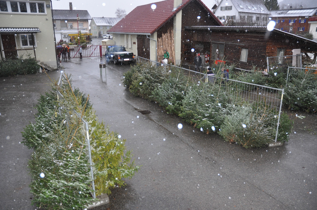 DSC_0182_JPG-1324204688