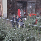 DSC_0185_JPG-1324204724