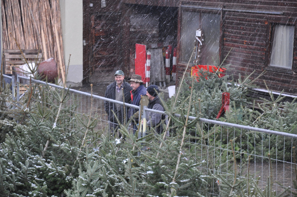 DSC_0185_JPG-1324204724