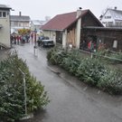 DSC_0189_JPG-1324204833