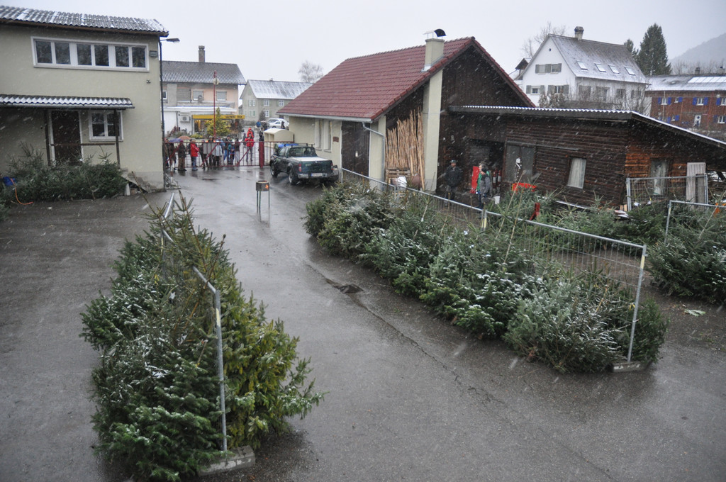 DSC_0189_JPG-1324204833