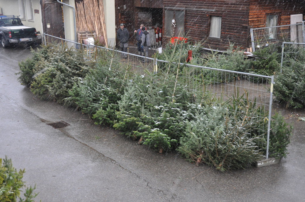 DSC_0195_JPG-1324204959