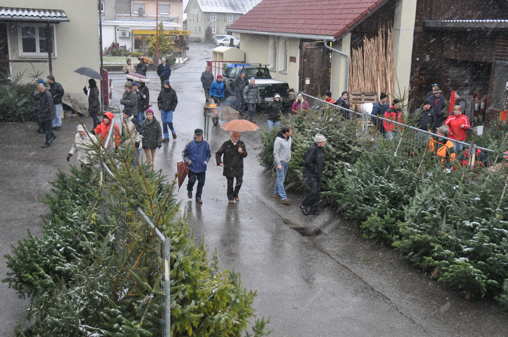 DSC_0206 - Kopie_JPG-1324205283