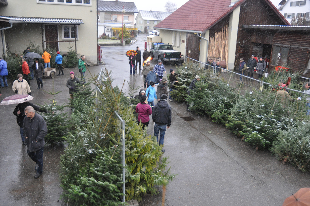 DSC_0213 - Kopie_JPG-1324205319