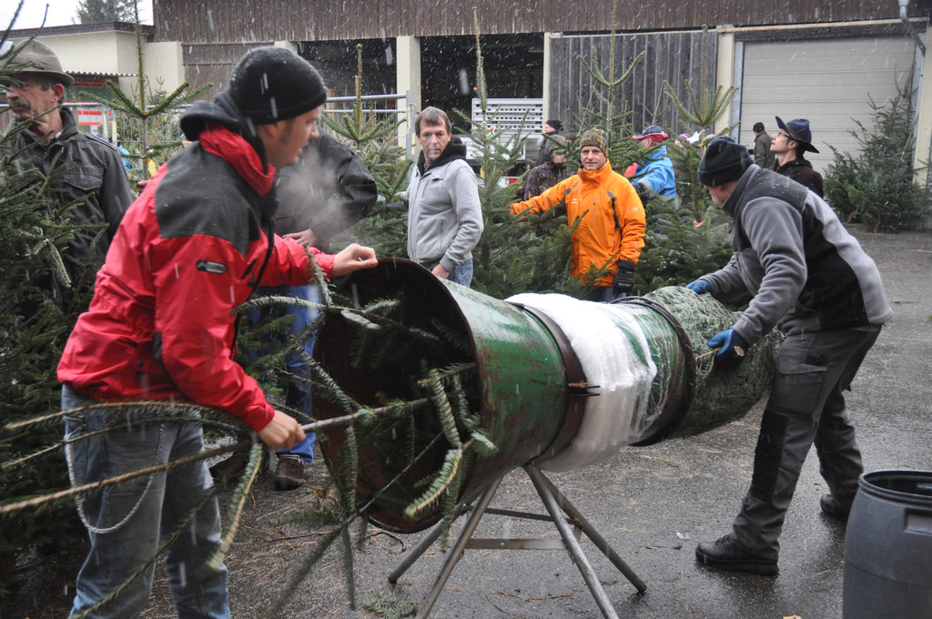 DSC_0224 - Kopie_JPG-1324205390