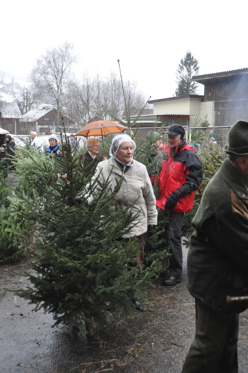 DSC_0228 - Kopie_JPG-1324205427