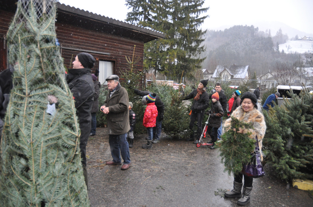 DSC_0263_JPG-1324205533