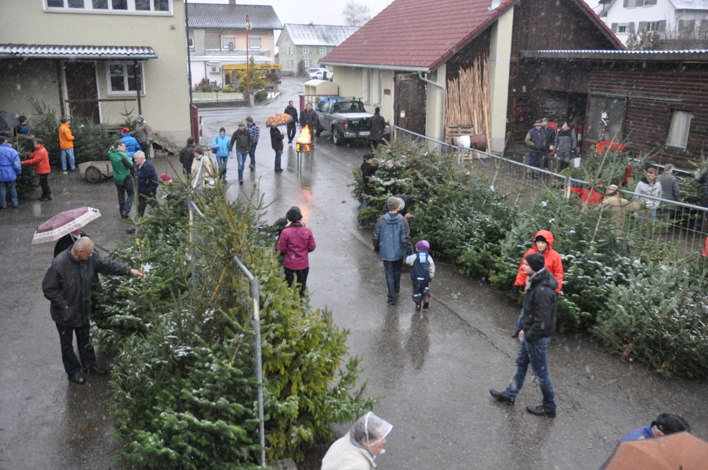 DSC_0212 - Kopie_JPG-1324205568