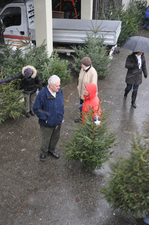 DSC_0215 - Kopie_JPG-1324205603