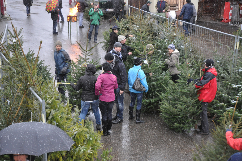 DSC_0217 - Kopie_JPG-1324205639