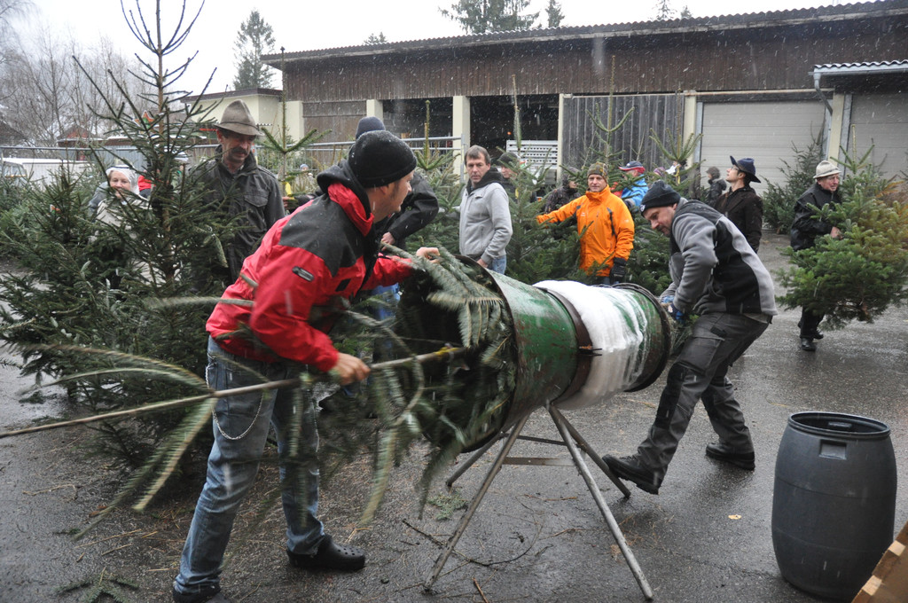 DSC_0223 - Kopie_JPG-1324205674