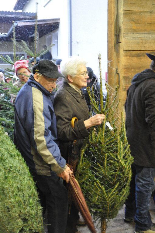 DSC_0240_JPG-1324205783