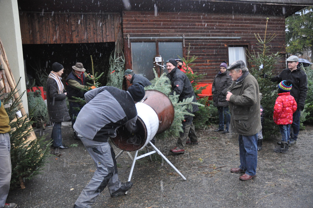 DSC_0261_JPG-1324205965