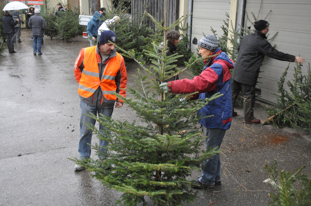 DSC_0222 - Kopie_JPG-1324206038