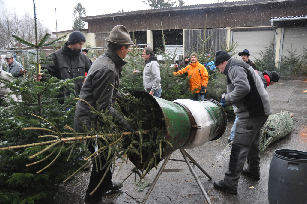 DSC_0225 - Kopie_JPG-1324206075