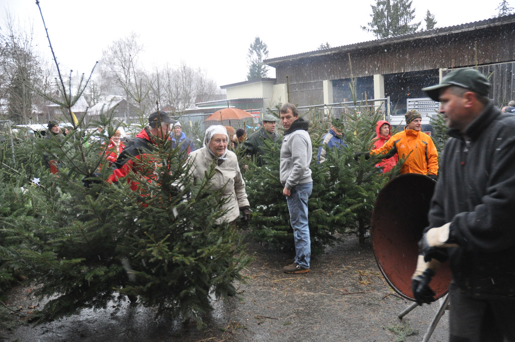 DSC_0229 - Kopie_JPG-1324206112