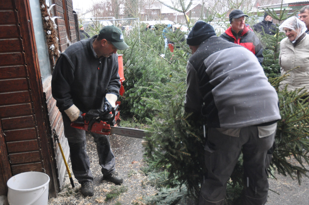 DSC_0231 - Kopie_JPG-1324206149