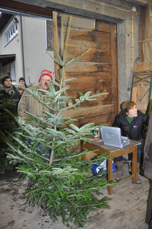 DSC_0247_JPG-1324206256