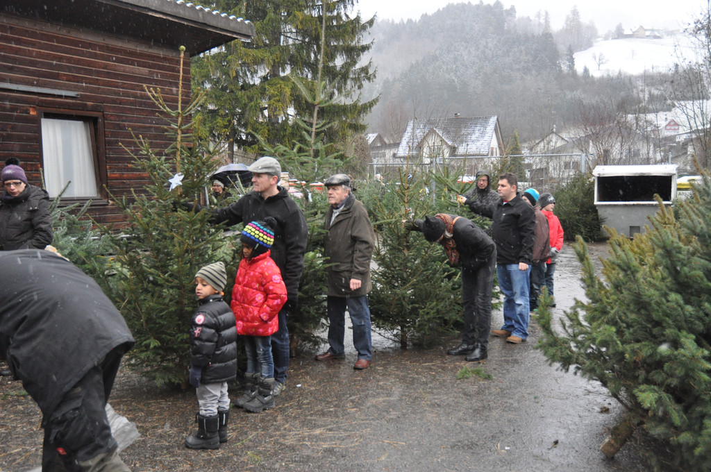 DSC_0259_JPG-1324206330