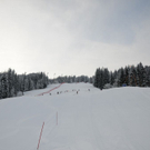 normal_181211flachausfaktivnews030.JPG