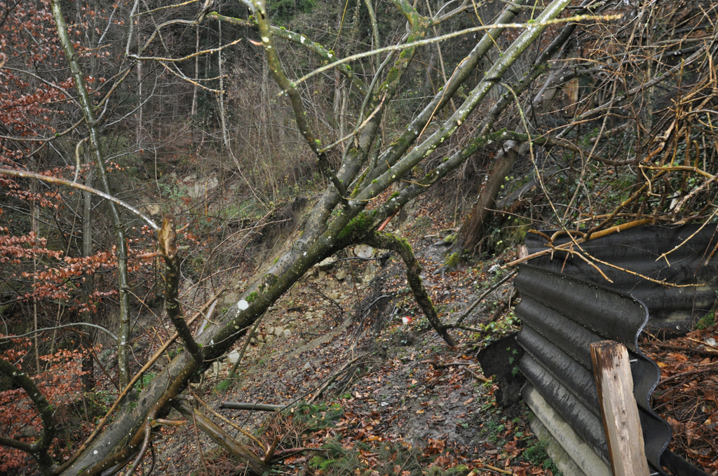 DSC_0177.JPG
