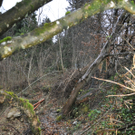 DSC_0178.jpg