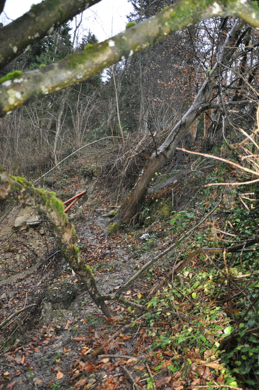 DSC_0178.jpg