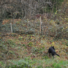DSC_0183.JPG