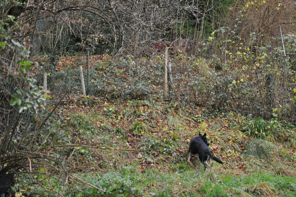 DSC_0183.JPG