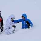 DSC_7366.jpg