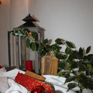 Schloss Hofener Advent 2011 NACH _3__jpg-1324247330