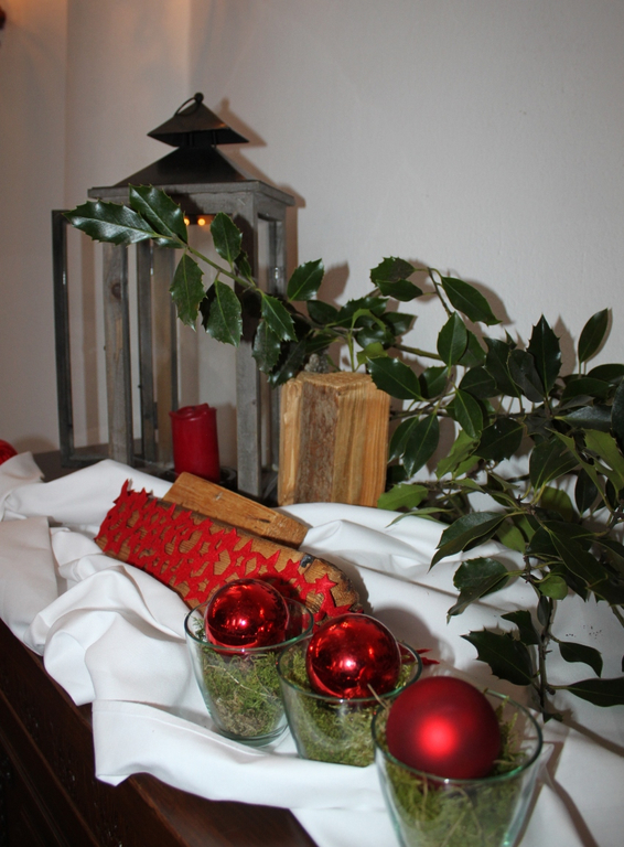 Schloss Hofener Advent 2011 NACH _3__jpg-1324247330