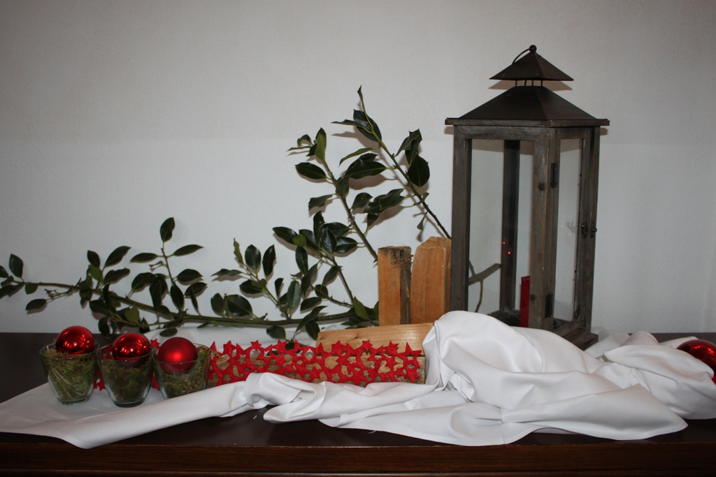 Schloss Hofener Advent 2011 NACH _4__jpg-1324247334