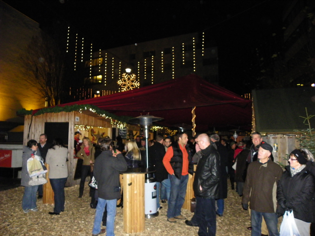 113_3235_JPG-1324247588