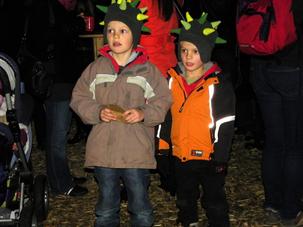 113_3248_JPG-1324247645