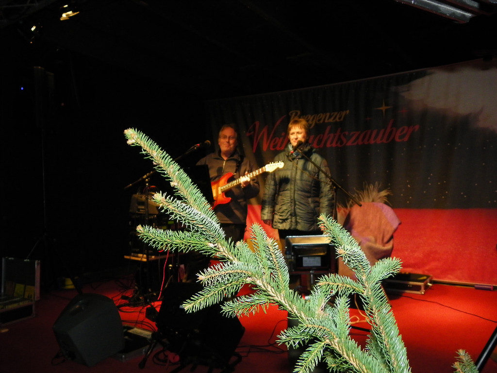 113_3253_JPG-1324247654