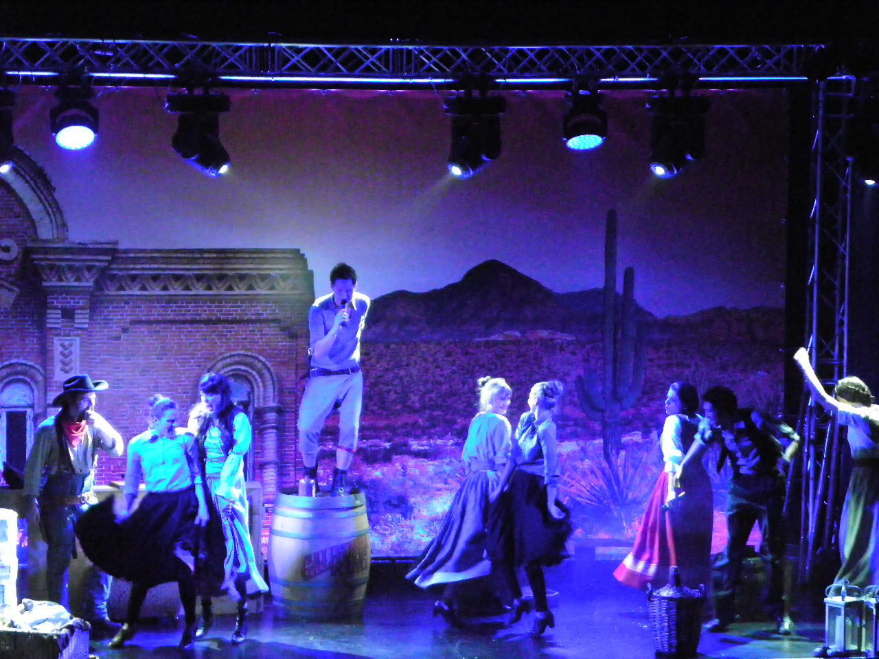 113_3395_JPG-1324248260