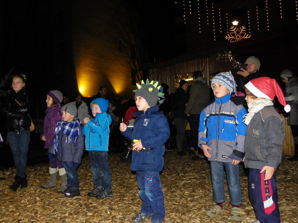 113_3718_JPG-1324250912