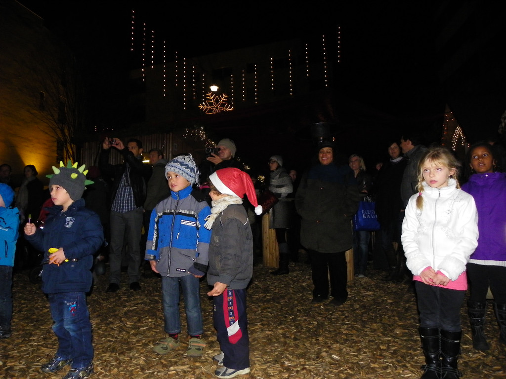 113_3719_JPG-1324250921