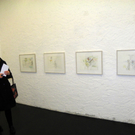 113_2471_JPG-1324254504