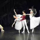 113_4005_JPG-1324255548