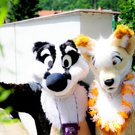 17_11_ furries_c_KarakinaFox.JPG