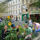 29_7_ guerilla gardening_c_onghaie.jpg