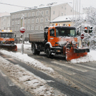 die_weisse_pracht_kann_kommen_003511071.jpg