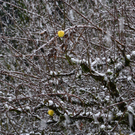 DSC_0147.JPG