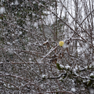DSC_0148.JPG