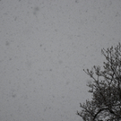 DSC_0149.JPG