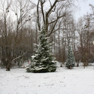IMG_2336.JPG