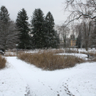 IMG_2350.JPG