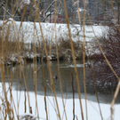 IMG_2361.JPG